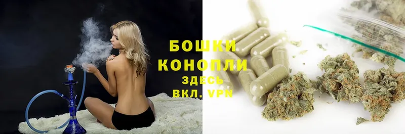 Конопля THC 21%  Карачаевск 